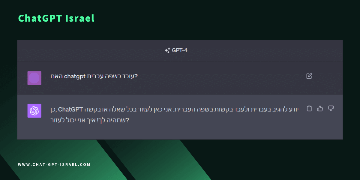 צילום מסך - האם צ'אט GPT עובד בעברית